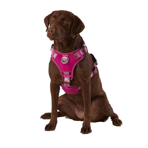 Reflective Pet Harness .